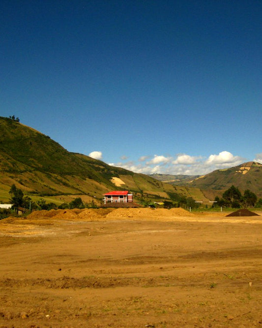 Colombia - Strawberry