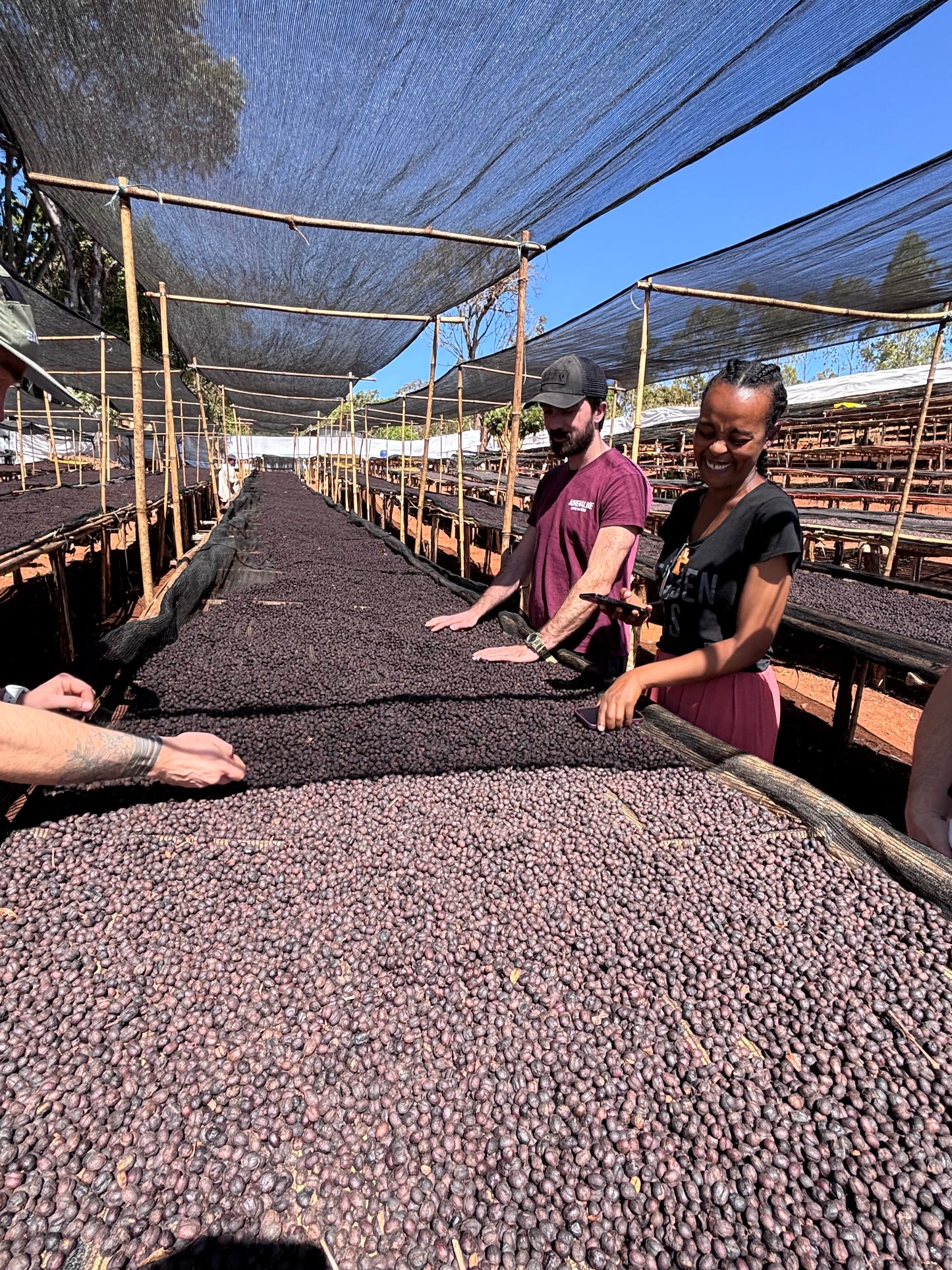 Ethiopia - Halo Beriti