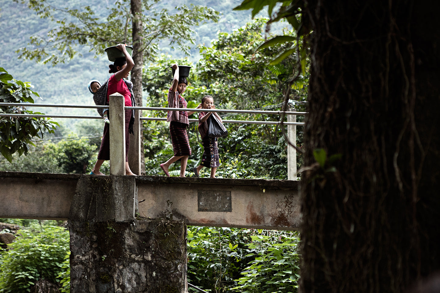 Guatemala - El Panal
