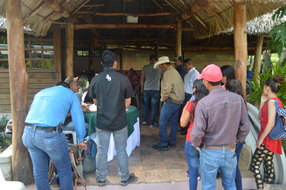 Guatemala - El Panal