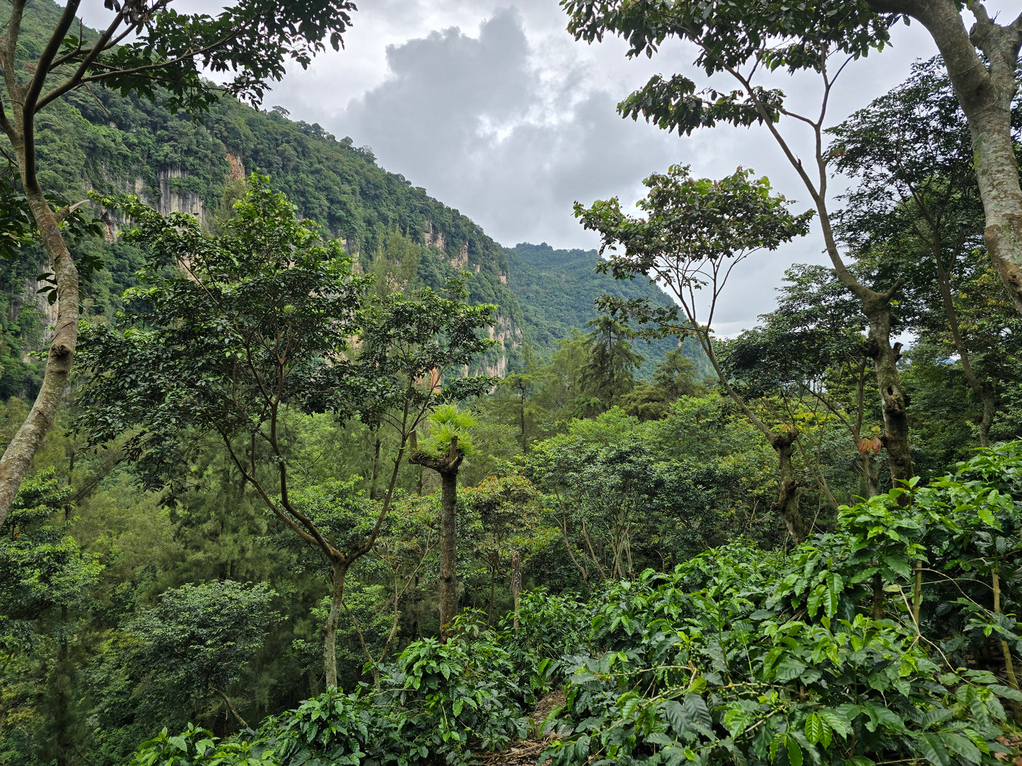 Guatemala - Maya