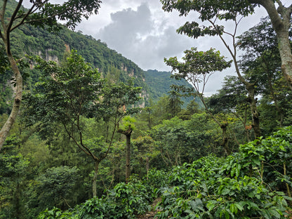 Guatemala - Maya