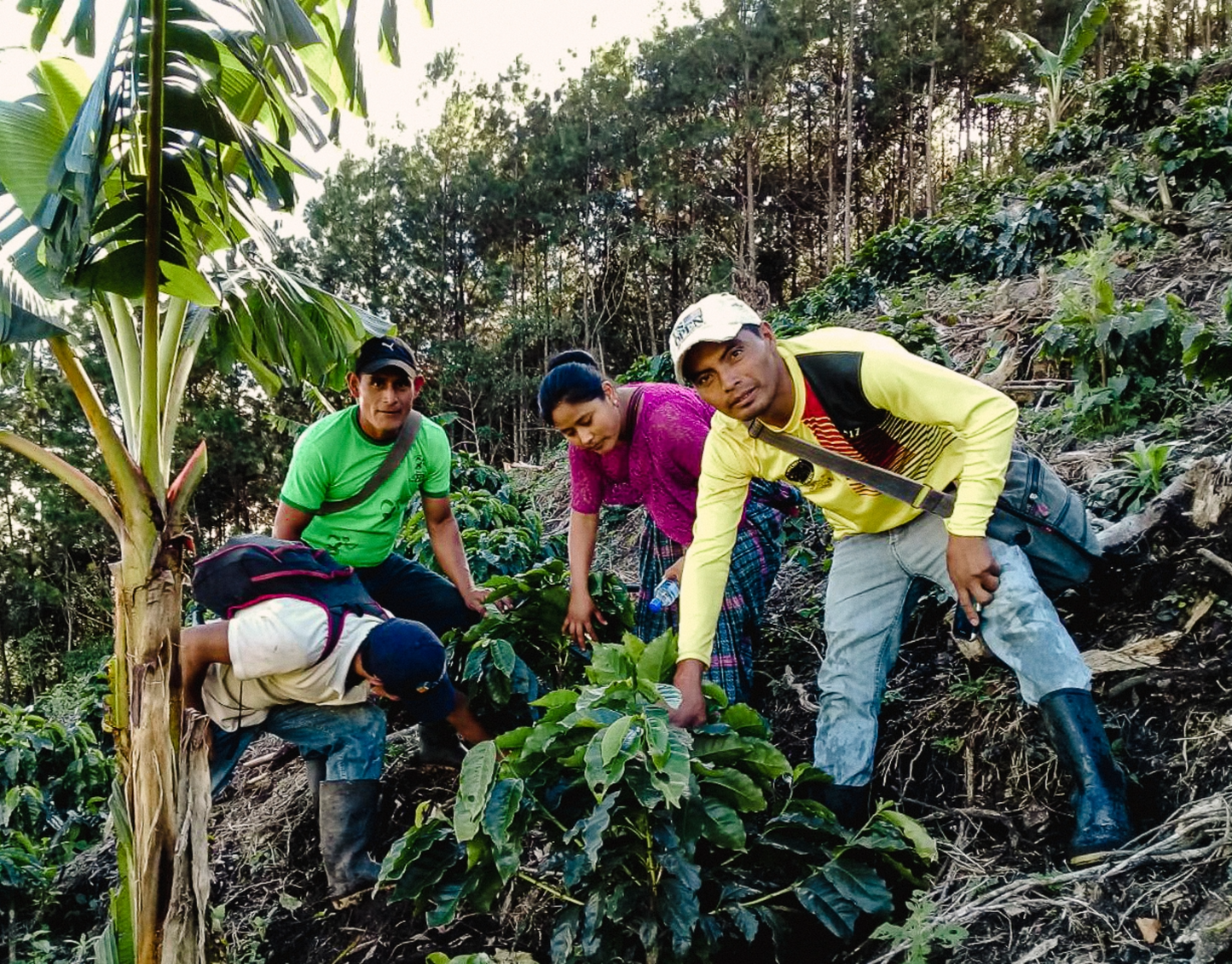 Guatemala - Maya
