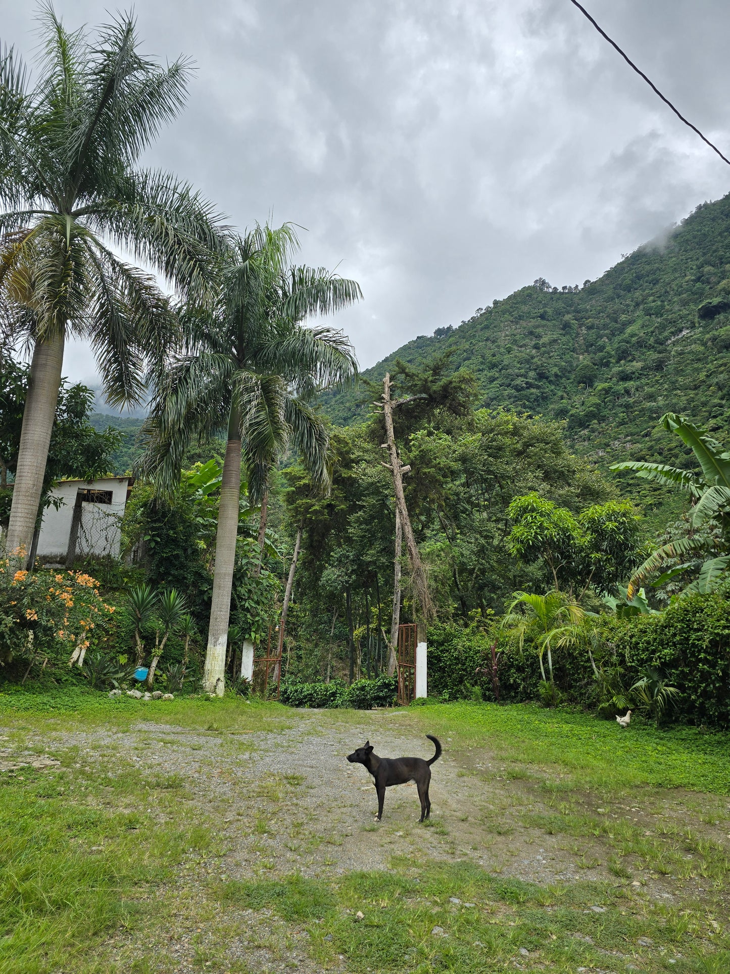Guatemala - Maya