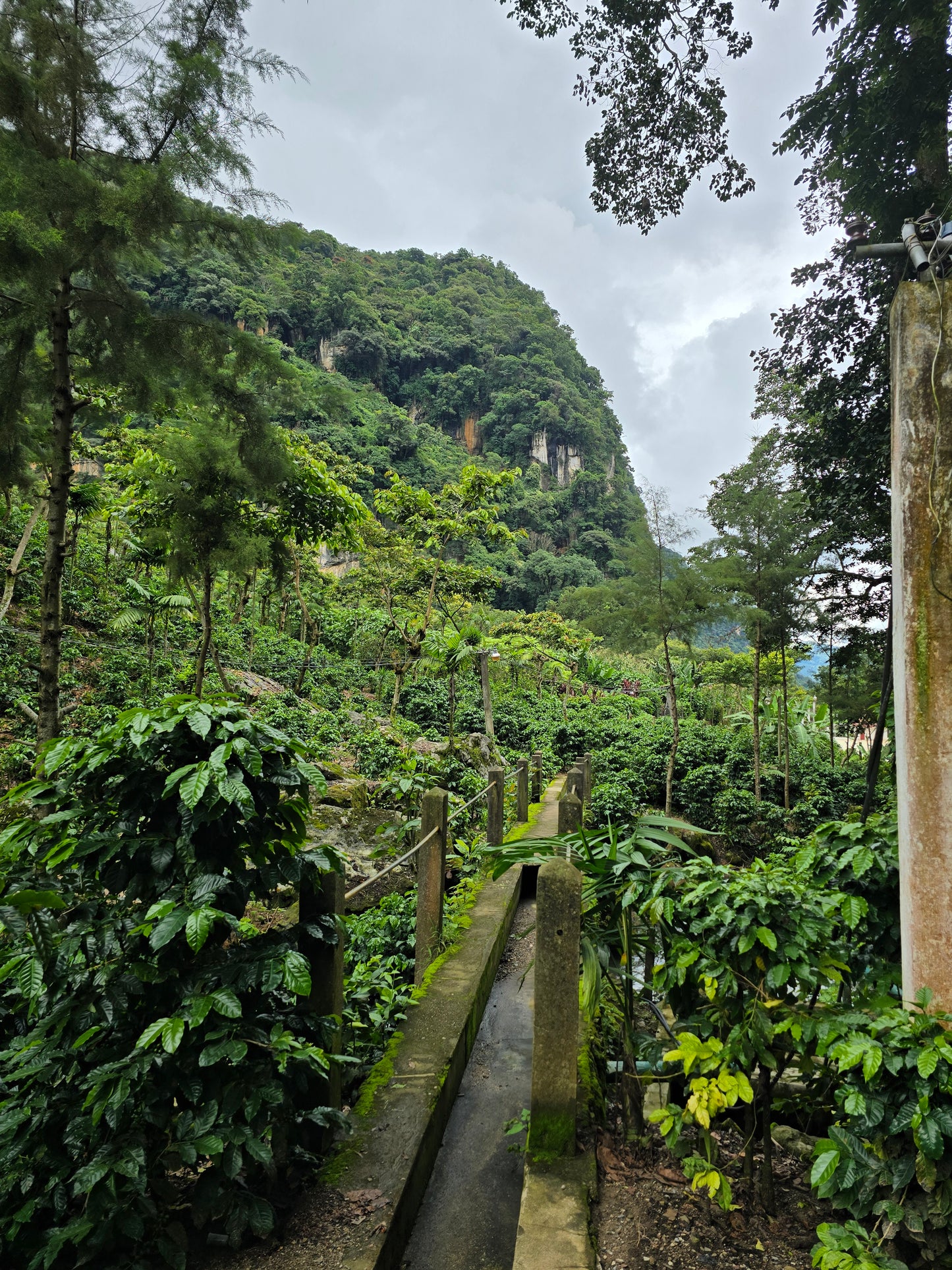 Guatemala - Maya