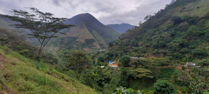Colombia - Yuppie